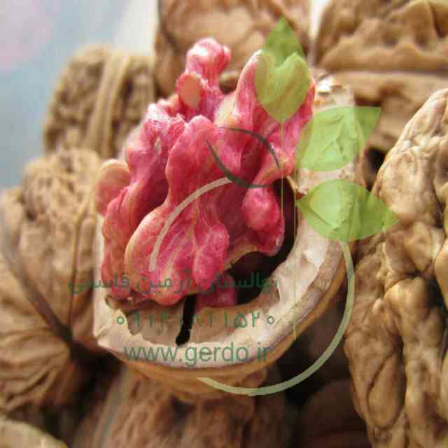 نهال گردو پاریزین