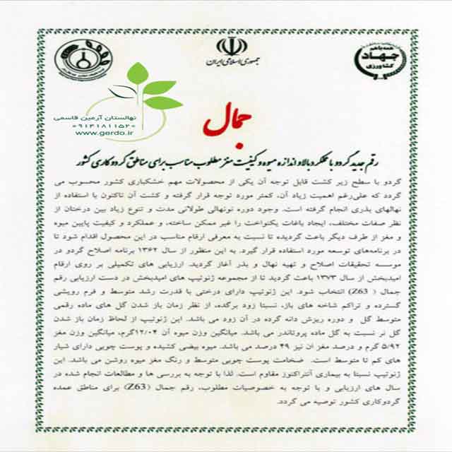 بذر گردو خوشه ای