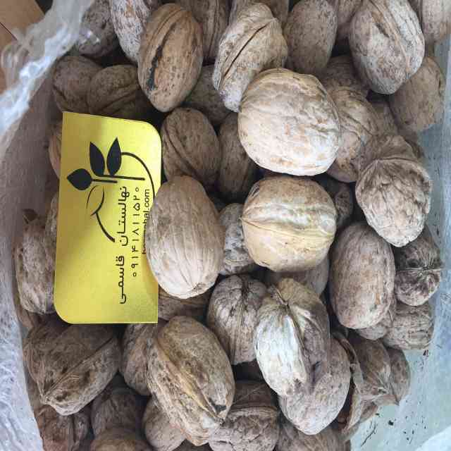 نهال گردو رقم جمال