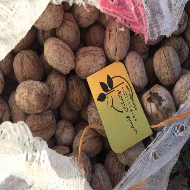 نهال گردو رقم جمال